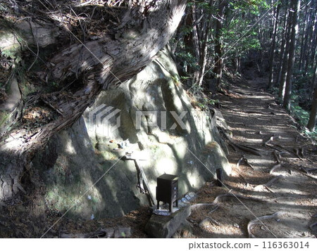 Kumano Kodo 116363014