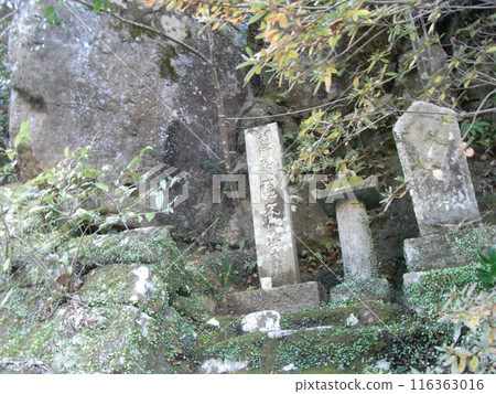 Kumano Kodo 116363016