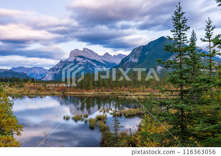 Vermilion Lakes autumn foliage scenery in dusk. Banff National Park, Canadian Rockies, Alberta, Canada. Colorful trees in orange, yellow, golden colors. Mount Rundle, Sulphur Mountain in background. Vermilion Lakes autumn foliage scenery in dusk. Banff National Park, Canadian Rockies, Alberta, Canada. Colorful trees in orange, yellow, golden colors. Mount Rundle, Sulphur Mountain in background. 116363056