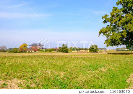 [奈良縣]奈良市平城宮遺址（2022年11月17日拍攝） 116363070