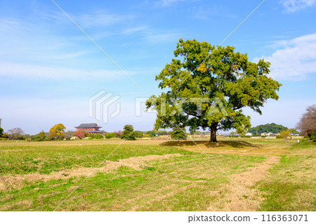 [Nara Prefecture] Heijo Palace ruins, Nara City (photographed on November 17, 2022) 116363071