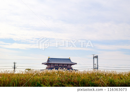 [Nara Prefecture] Heijo Palace ruins, Nara City (photographed on November 17, 2022) 116363073