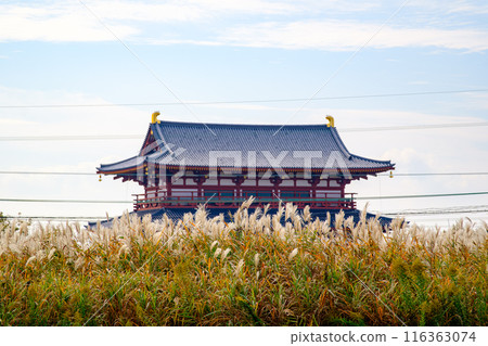 [Nara Prefecture] Heijo Palace ruins, Nara City (photographed on November 17, 2022) 116363074