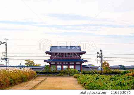 [Nara Prefecture] Heijo Palace ruins, Nara City (photographed on November 17, 2022) 116363075