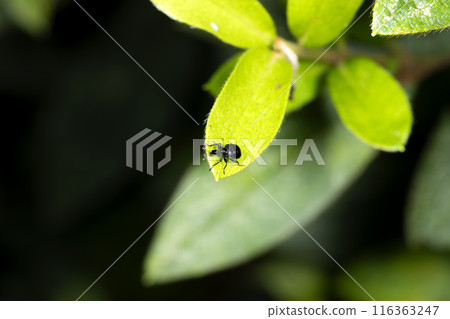 Powered by Discuz! 116363247