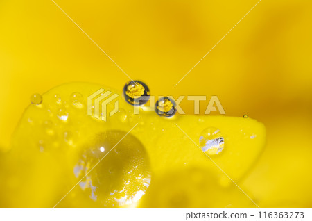 水滴 水滴 116363273