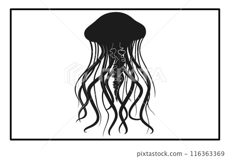 Silhouette of jellyfish, Jellyfish design illustration 116363369