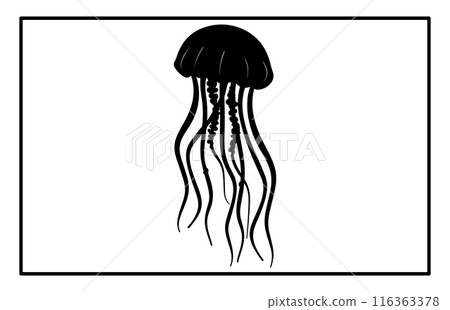 Silhouette of jellyfish, Jellyfish design illustration 116363378