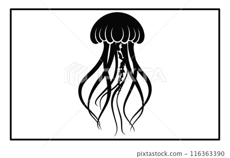 Silhouette of jellyfish, Jellyfish design illustration 116363390