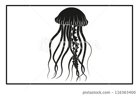Silhouette of jellyfish, Jellyfish design illustration 116363400