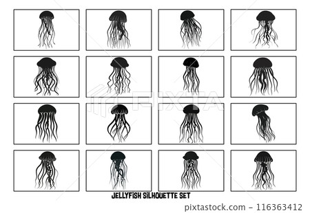 Silhouette of jellyfish, Jellyfish design illustration Silhouette of jellyfish, Jellyfish design illustration 116363412