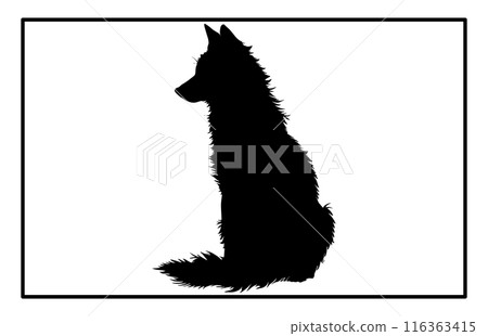 Jackal Silhouette, Hand drawn silhouette of a wild black backed jackal Illustration 116363415