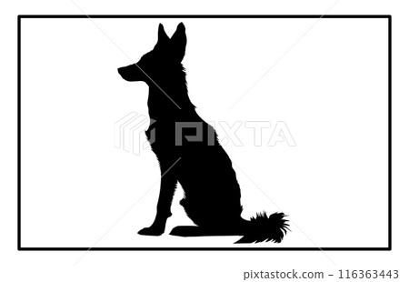 Jackal Silhouette, Hand drawn silhouette of a wild black backed jackal Illustration Jackal Silhouette, Hand drawn silhouette of a wild black backed jackal Illustration 116363443