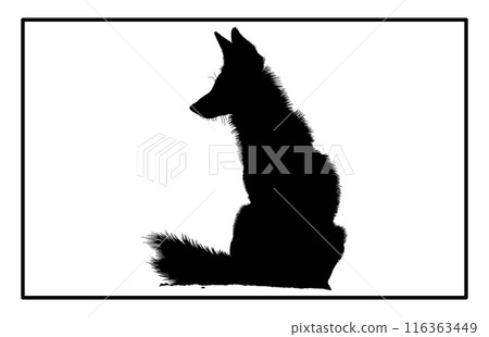 Jackal Silhouette, Hand drawn silhouette of a wild black backed jackal Illustration Jackal Silhouette, Hand drawn silhouette of a wild black backed jackal Illustration 116363449