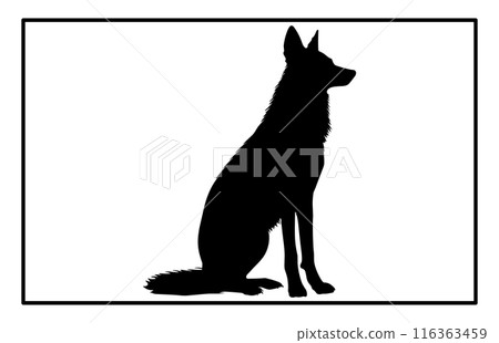 Jackal Silhouette, Hand drawn silhouette of a wild black backed jackal Illustration Jackal Silhouette, Hand drawn silhouette of a wild black backed jackal Illustration 116363459