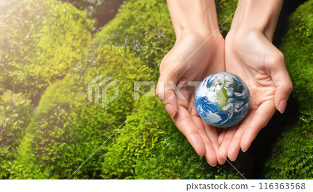 Ecology image, sustainable, environmental protection 116363568