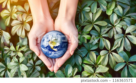 Ecology image, sustainable, environmental protection 116363571