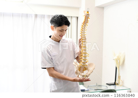 身穿白大褂的微笑亞洲男子拿著脊椎模型 116363840