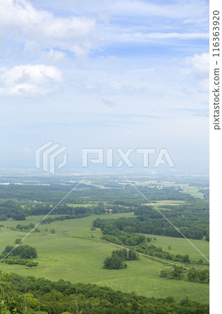 從北海道十勝平原清水丸山展望台眺望的景色 116363920