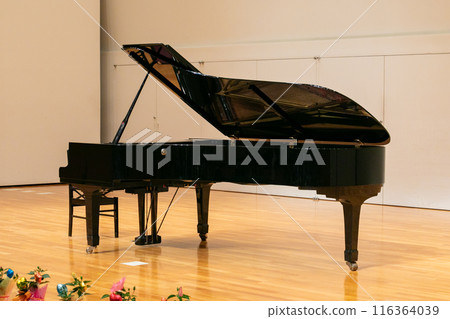 Scene from the recital: Grand piano 116364039