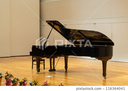 Scene from the recital: Grand piano Scene from the recital: Grand piano 116364041
