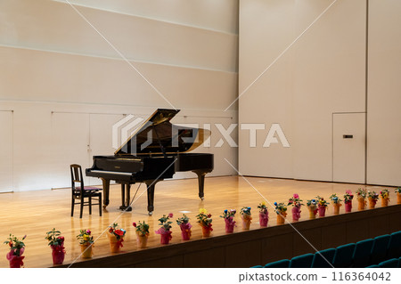Scene from the recital: Grand piano Scene from the recital: Grand piano 116364042