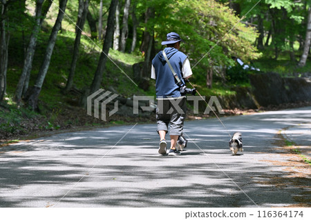 A man walking with his dog, holding a camera; Chihuahua; multiple dogs; summer image A man walking with his dog, holding a camera; Chihuahua; multiple dogs; summer image 116364174