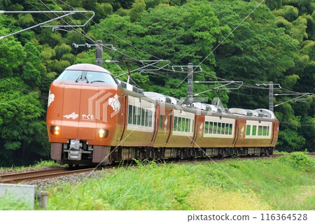 [JR西日本]273系列「八雲」（白尾：根津～黑坂） 116364528