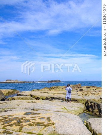 (Shizuoka Prefecture) A woman looking out at the sea from Ebisu Island in Susaki, Izu 116364579