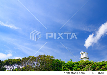(Shizuoka Prefecture) Lighthouse on Ebisu Island, Izu 116364681