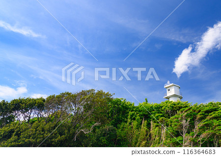 (Shizuoka Prefecture) Lighthouse on Ebisu Island, Izu 116364683