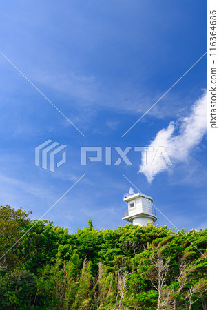 （靜岡縣）伊豆惠比壽島上建造的燈塔 116364686