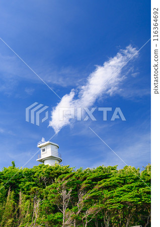 (靜岡縣)伊豆惠比壽島上建造的燈塔 (靜岡縣)伊豆惠比壽島上建造的燈塔 116364692