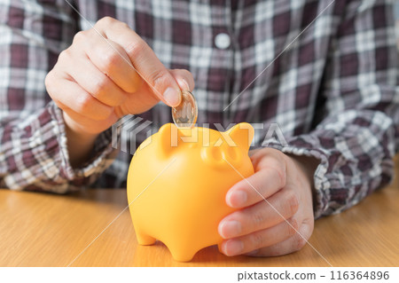 Hands of a person putting money into a piggy bank 116364896