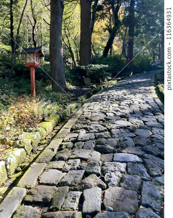 The stone steps of the approach 116364931
