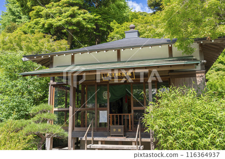 Fukutoku Benzaiten at Hasedera Temple 116364937
