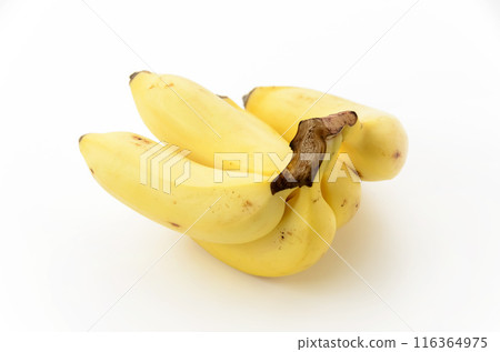 Monkey banana 116364975