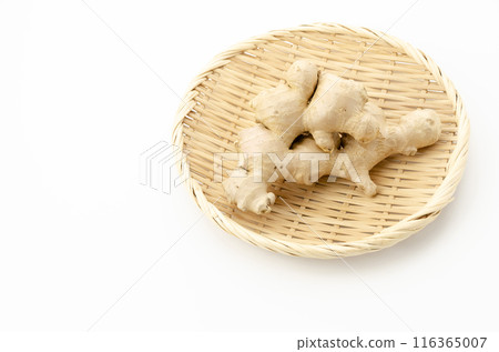 ginger ginger 116365007