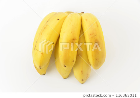 猴子香蕉 116365011