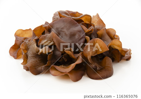 活潑的石斑魚 活潑的石斑魚 116365076