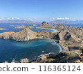 Spectacular view from Komodo Island, Indonesia 116365124