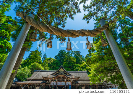 The rope torii gate and worship hall of Ogami Shrine in Sakurai City, Nara Prefecture The rope torii gate and worship hall of Ogami Shrine in Sakurai City, Nara Prefecture 116365151