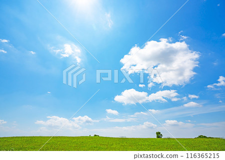 Summer blue sky, sun and grassland Summer blue sky, sun and grassland 116365215