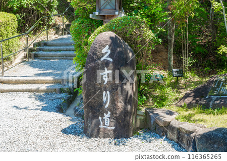 奈良縣櫻井市西神社參道藥道 116365265