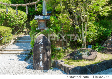奈良縣櫻井市西神社參道藥道 116365266