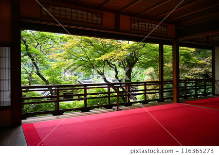 京都府長岡京市橫國寺上書院,秋葉美麗藍色 京都府長岡京市橫國寺上書院,秋葉美麗藍色 116365273