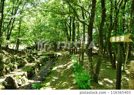 Hotel Epinard, a lodging facility in Nasu Highlands, Nasu Town, Tochigi Prefecture. Entrance to the Nasu Green Walkway Hotel Epinard, a lodging facility in Nasu Highlands, Nasu Town, Tochigi Prefecture. Entrance to the Nasu Green Walkway 116365403