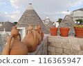 A view of a town lined with triangular roofs from the rooftop 116365947