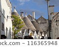 A town lined with triangular roofs 116365948