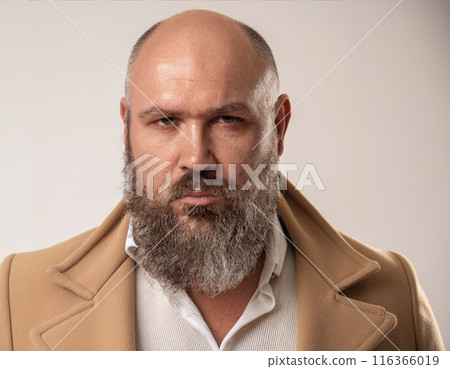 Studio Portrait of Handsome Senior Man 116366019